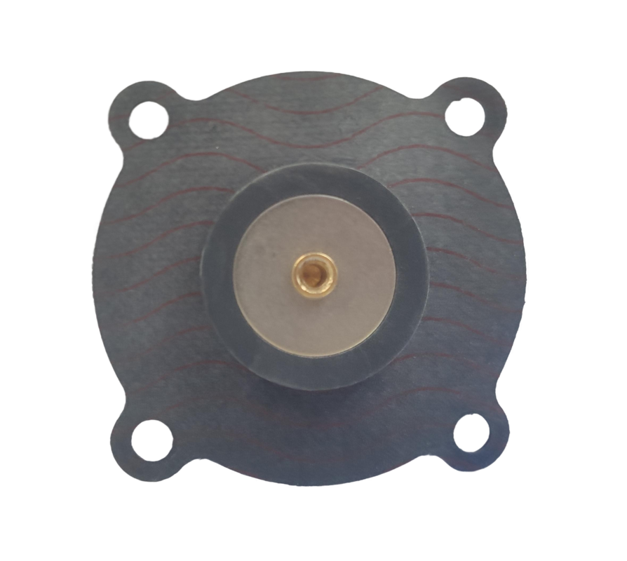 Diaphragm assembly (1", conventional)